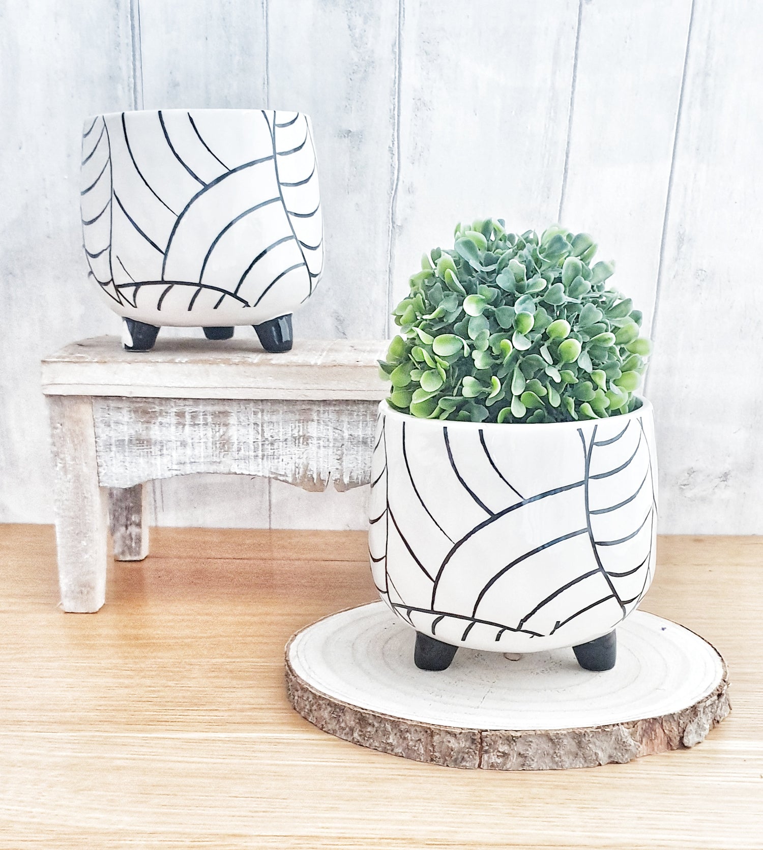 Planters, Vases & Jugs